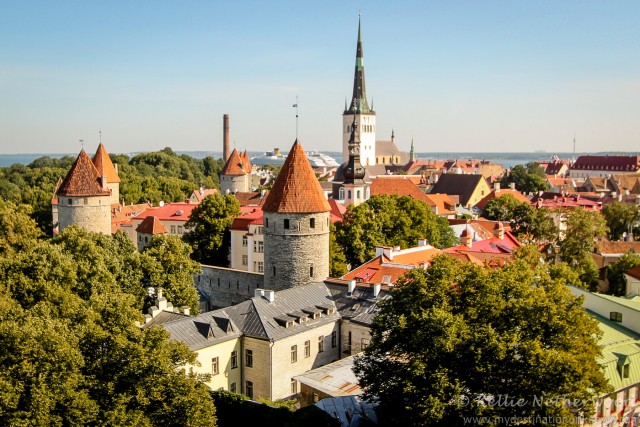 Електронна Естонія: як збудувати найсучаснішу цифрову державу – Inspired
